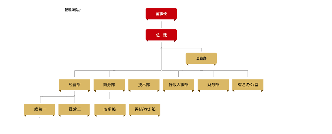 管理架构